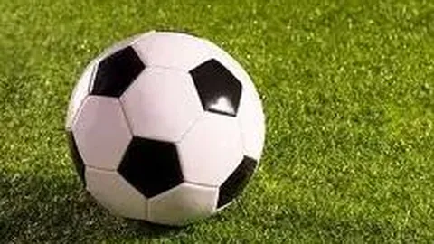 第十届王者荣耀高校联赛圆满收官，电竞助力高校就业新趋势显现