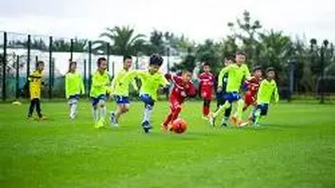 海星体育直播tv官网 产品 111333 bux