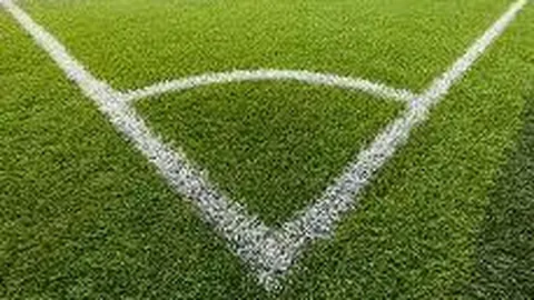 海星体育直播tv官网 资讯 132613 kwn