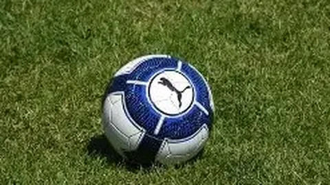 海星体育直播tv官网 产品 104435 hcg